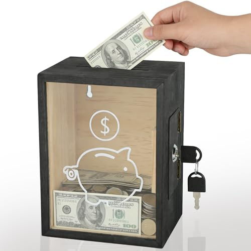 Spardose Acryl Transparente, Sparschwein Schwarz aus Holz Abschließbar Sparbox 15x12x20cm Geldsparbox Sparschwein Durchsichtig für Budget und Sparen, Münzen und Bargeld