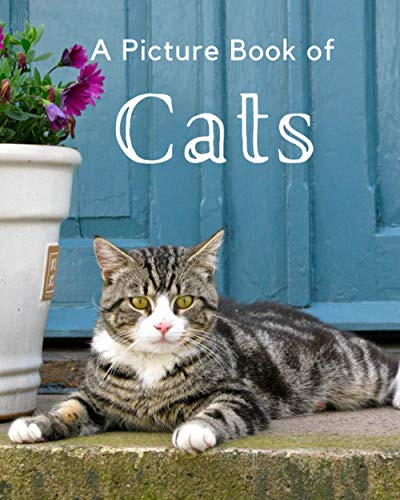 A Picture Book of Cats: A Beautiful Picture Book for Seniors With Alzheimer’s or Dementia. A Wonderful Gift for Cat Lovers.: 4