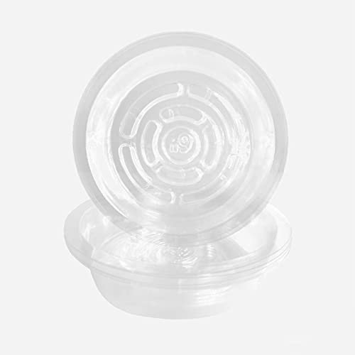 JFBUCF 10 Stück Blumentopfuntersetzer, 25 cm, Kunststoff, transparent, Untersetzer für Blumentöpfe, Blumentöpfe, Untersetzer für Innen- und Außenbereich, Garten