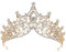 Hochzeit Diadem, Krone Strass, Krone Kristalle Tiara, Braut Tiara Diadem, Diademe für Mädchen Kristall, Prinzessin Tiara Geburtstag Erwachsene, für Hochzeitsfeier, Halloween, Bankett (Gold)