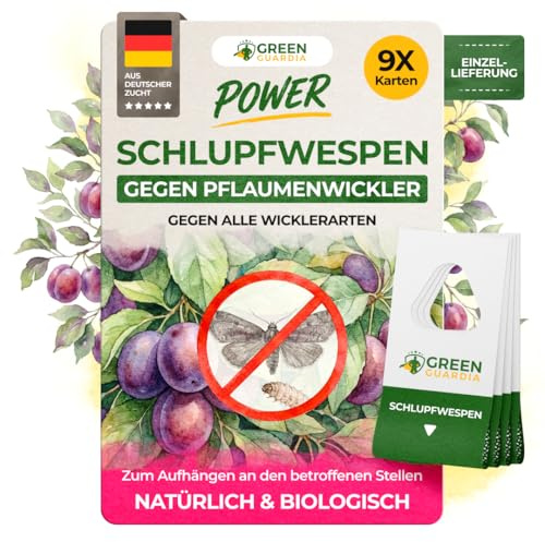 GREEN GUARDIA Schlupfwespen gegen Pflaumenwickler -9 Karten à 1 Lieferung- Effektive Bio-Bekämpfung gegen Apfelwickler, Alternative zu Pflaumenwicklerfalle, Spritzmitteln, Nematoden & Pheromonfallen