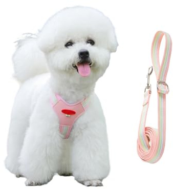 Hundsele | bekvämt justerbart hundtillbehör med dragkedja | Anti-dragsele hundsele med koppel set – för valpar aktiviteter shopping utomhus promenader