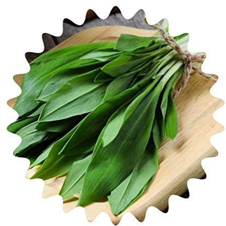 Wildflower/50 Seeds/Ramsen/Similar Garlic Flavour