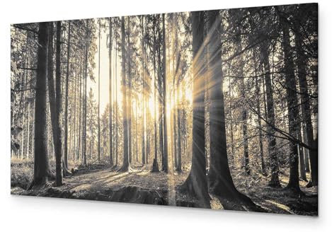 murando - Akustikbild Wald 120x40 cm 1 tlg Bilder Akustikschaum Schallschutz Kunst Akustikpaneele Wandpaneele Schalldämmung Wandbild Schallabsorber Waldlandschaft Natur Panorama c-B-0077-b-c