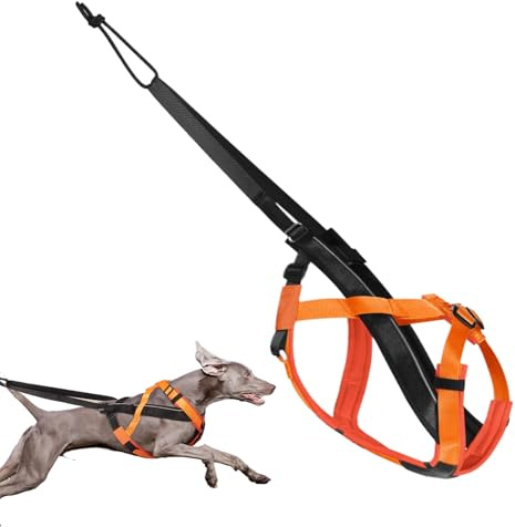 Zughundegeschirr - Reflektierendes Laufgeschirr Für Hunde | Verstellbares Gurtzeug Für Training Skaten Outdoor Aktivitäten