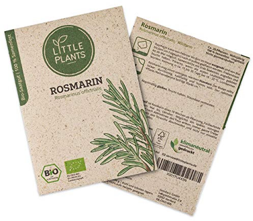 Little Plants BIO Rosmarin Samen, 20 Rosmarinsamen, hohe Keimrate, 100% Natürlich, BIO Samen Rosmarin Saatgut für Kräutergarten Küchenkräuter Hochbeet – BIO Kräutersamen Nachhaltig