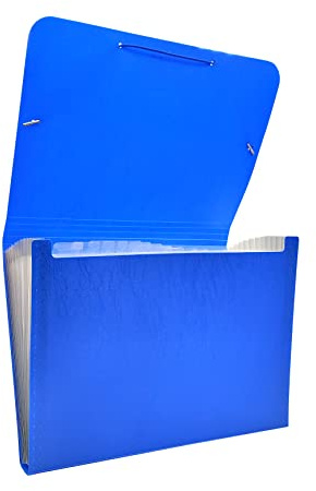 Raylu Paper® - Carpeta clasificadora tipo acordeón para documentos con 12 compartimentos, archivador de plástico opaco con separadores para oficina (Azul)