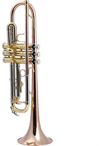 Anfänger Trompete B-Trompete FosforBrons MässingsInstrument