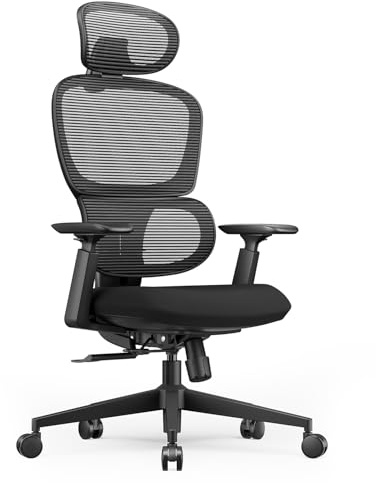 ProtoArc EC300 ergonomisk kontorsstol
