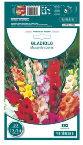 Verdecora Pack 10 Bulbos de Gladiolo de Colores Variados - Flores Vistosas para Jardín y Macetas - Bulbos de Primavera