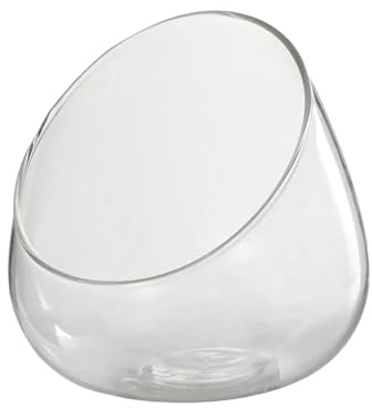 Sharplace Vase en Verre à Bol incliné, réservoir de Terrarium Transparent