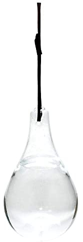 Esschert Design Fliegenfalle aus Glas, Ø 11 x 20 cm, 825 ml, mit Schnur zum Aufhängen
