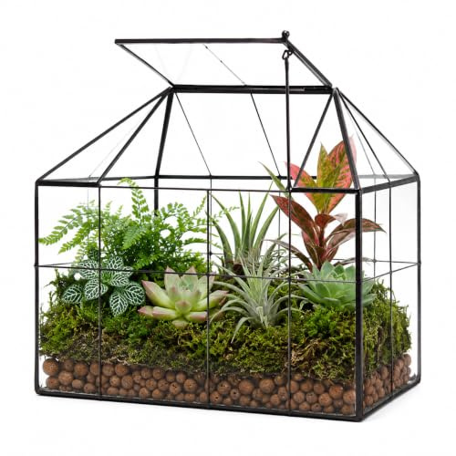 Großes Glas-Terrarium, Pflanzgefäß – Sukkulenten-Terrarium, Hausform, Glasgewächshaus, Terrarium mit Deckel, 24 x 20 x 14 cm NA
