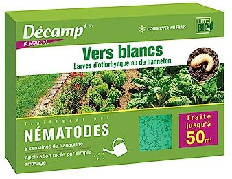 Décamp' - Nématodes HB Anti otiorhynques 25M - 50m²