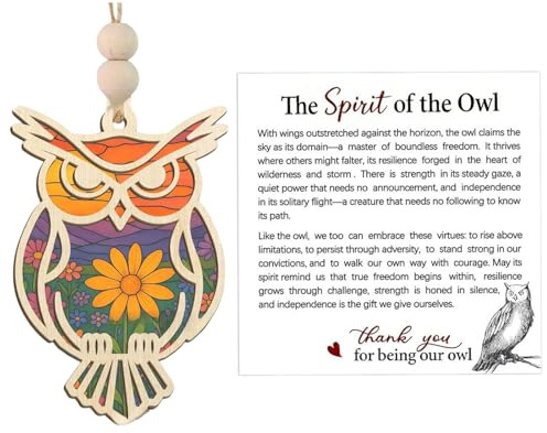 NVOQILIN Owl Suncatchers Hanging Ornament with Story Card Easy Installation for Window Door Home Decors Acrylic Pendant