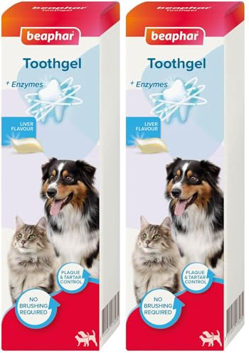 Beaphar | Advanced-Enzyme Toothgel | Dental Care for Dogs & Cats | Non-Brush Alternative | Helps Prevent Bad Breath & Combat Plaque | 100g Tube (Pack of 2)
