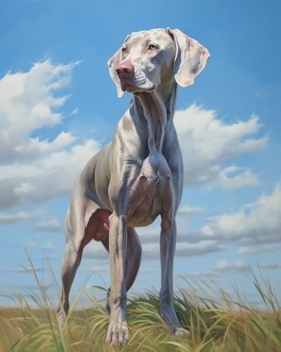 ZMHZMY Malen nach Zahlen Erwachsene,Weimaraner-Hund steht auf Gras DIY Handgemalt Ölgemälde Kits auf Leinwand Geschenk für Weihnachten Geburtstag Home Haus Deko,40x50cm