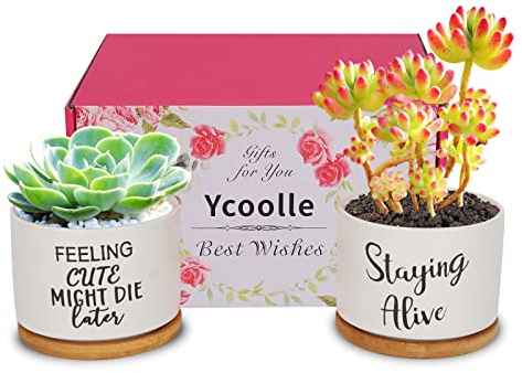 Ompinda Funny Succulent Plant Pot 3.15 Inch Set of 2 Cute Ceramic Planter Set Garden Succulent Pot with Bamboo Tray Birthday Gifts for Mom, Sister or Friends (Plants Not Included) (Style 1)