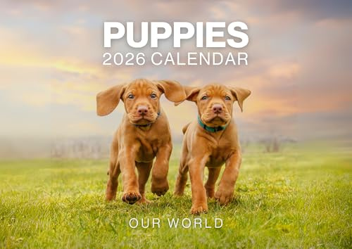 Puppy Calendar 2026, Dog Wall Calendar 2026. Large 12 Month, Month to View with Notes & Checklist Pages, UK Made by Our World