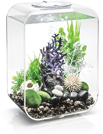 biOrb 72047 LIFE 15 LED transparent – dekorativ 15 liter akvarium komplett set med filtersystem, LED-belysning och keramiskt golv av robust akrylglas