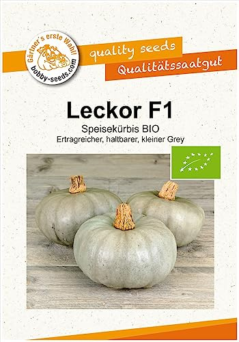 BIO-Kürbissamen Leckor F1 Portion