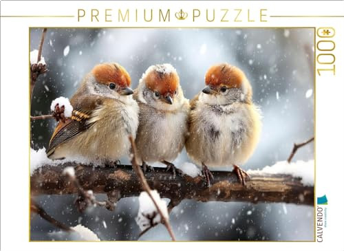 Puzzle · Vögel, wir rücken zusammen | 1000 Teile · Lege-Größe 64 × 48 cm · CALVENDO Puzzle