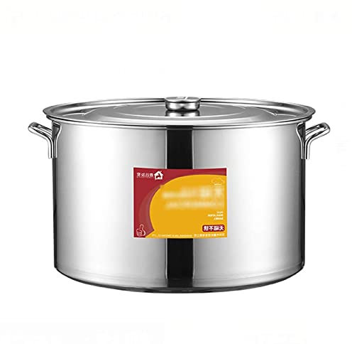 THEGA Olla para Sopa - Stock Olla - Olla De Cocina, Olla para Sopa De Acero Inoxidable 304 con Tapa, Olla Gruesa Comercial/doméstica para Catering, para Estufa De Gas/Cocina De Inducción (Size : 25L)