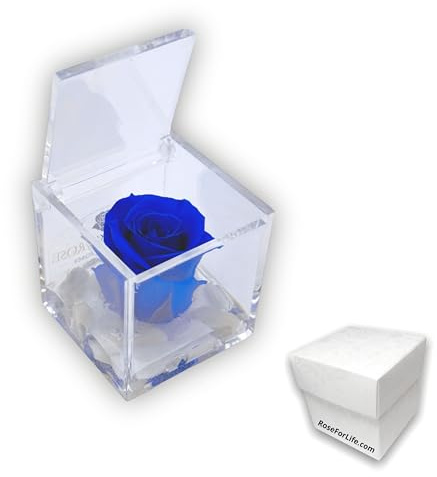 OneFlower by PREMIUM ROSE - Cubo Rosa Stabilizzata Blu 5 cm con Marmo di Carrara - Rosa Eterna Stabilizzata Made in Italy - Idea per Bomboniere, Lauree e Battesimi - Blu 1051