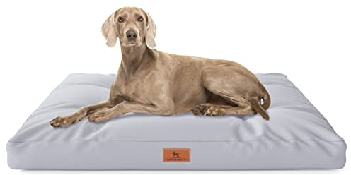 Knuffelwuff Hundekissen Gatsby aus Oxford-Gewebe 75 x 50cm Grau - rutschfeste Unterboden - leicht zu reinigen - für große, mittelgroße und kleine Hunde