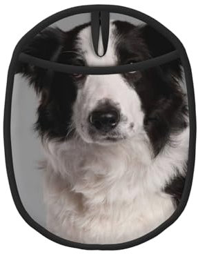 Border Collie, Maniques, maniques résistantes à la Chaleur, maniques de Cuisine en Silicone antidérapantes