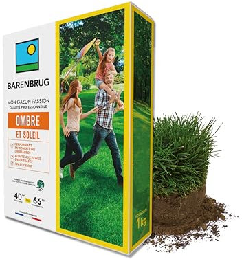 BARENBRUG - Gazon Ombre et Soleil - Performant en Conditions Ombragées - Adapté aux Zones Ensoleillées - Fin et Dense - Pour Végétaliser des Petits Jardins Urbains - Fabriqué en France - 1KG