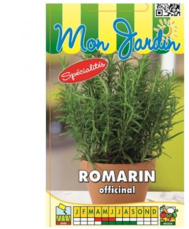 Sachet de graines de Romarin Officinal (Rosmarinus officinalis) - 0,1 g - légume feuille - LES GRAINES BOCQUET