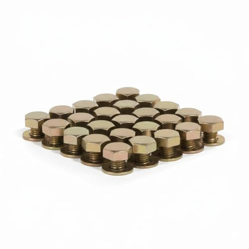 Wheel Rim Lip Bolt | Non-Bead Lock | Zinc Plated Gold | Stainless Steel | Bolt-On | Set of 25 With Washers | Embossed Logo