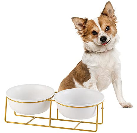Erhöhte Hundenäpfe für kleine Hunde - 2 Keramikschalen mit goldenem Eisenständer - Erhöhtes Futternapf Set für Futter und Wasser - Bequemes Füttern
