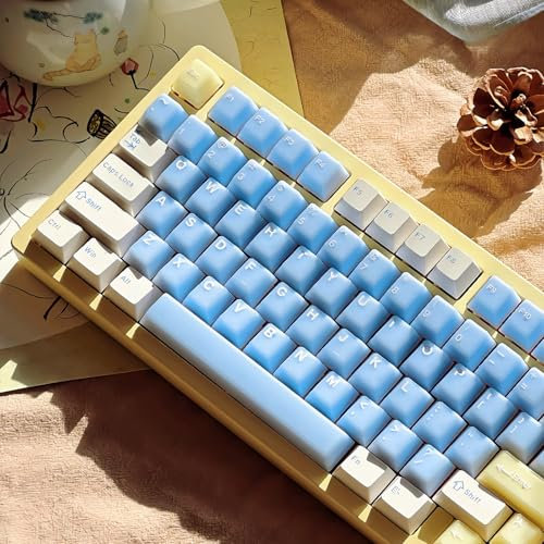 164 Keys PBT Doubleshot Keycaps Cherry Profile Jelly Keycap Set Fit for 60% 65% 75% 95% Cherry Mx Switches Mechanical Keyboard