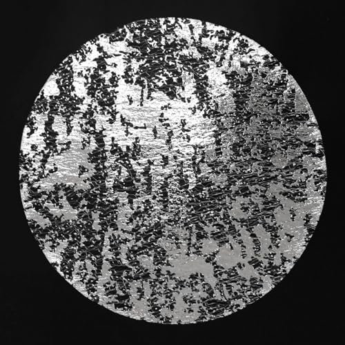 Tovagliette Rotonde Argento, 12 Pezzi Tovagliette Colazione Sottopiatti Rotondi Rete Placemats, Tappetini da Pranzo in Lamina d'argento, Decorazione per Tavolo da Pranzo, Cucina, Ristorante, Matrimoni