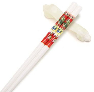 Set di bacchette cinesi in porcellana, confezione regalo, 10 paia di bacchette riutilizzabili lavabili in lavastoviglie, set regalo con custodia, bacchette in ceramica di osso di alta qualità con