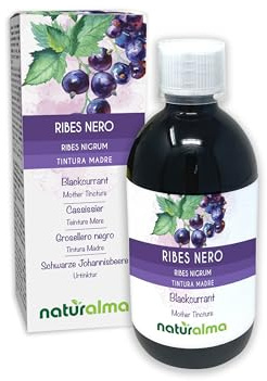 Cassissier (Ribes nigrum) feuilles et fruits Teinture Mère sans alcool Naturalma - Extrait liquide gouttes 500 ml - Complément alimentaire - Végétalien ou végan
