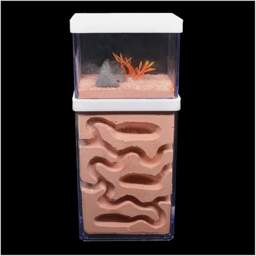 ININOSNP Acrylsäure-Ameisennest-Burg Gips Ökologische Ameisenfarm Gips Ameisennest Ameisenhaus Display Box Ameisenkolonie Zuchtvilla(B)