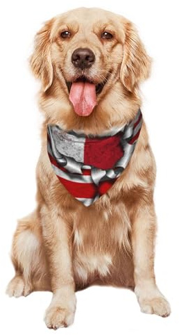 In Amerika Angebaute Maltesische Wurzeln Hundehalstuch Stylisches Dreieckstuch Waschbar Dreieck Lätzchen Für Hundebekleidung & Zubehör Welpen Katzen