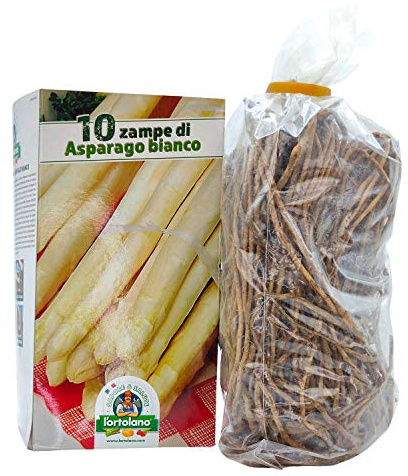 ASPARAGO BIANCO DA TRAPIANTARE IN CONFEZIONE DA 10 ZAMPE