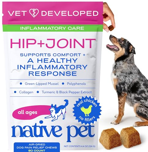 Native Pet Inflammatory Care - Pain Relief for Dogs - Green-Lipped Mussel, Turmeric & Collagen for Dogs - Hip and Joint Supplement Supports Healthy Inflammatory Response & Joint Comfort - 60 Chews