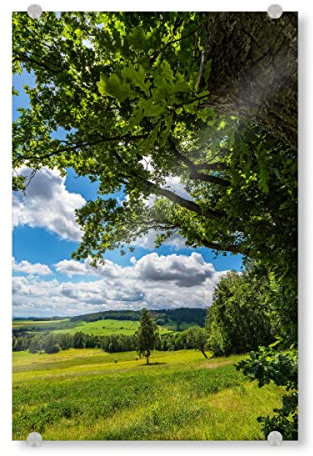 artboxONE Acrylglasbild 60x40 cm Natur Baum, Wolken, Feld, Wald - Bild königshainer Berge Feld frühling