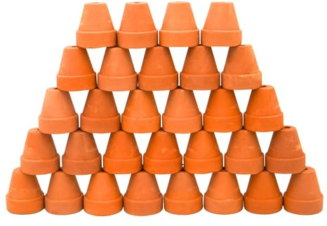 Yuvori Lot de 30 mini pots de fleurs en terre cuite pour plantes grasses, cactus, loisirs créatifs, jardin féérique, maison de poupée, projets scolaires (cylindre classique, 2,5 cm)