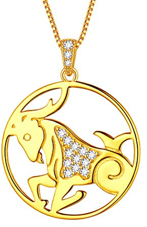 Aurora Tears Steinbock Halskette 925 Sterling Silber 12 Sternzeichen Anhänger Konstellation Vergoldet Runde Münze Halskette CZ Horoskop Schmuck für Frauen und Mädchen DP0111M-Y