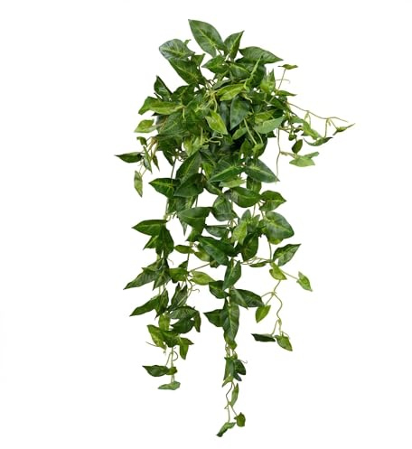 Seidenblumen Roß Syngonium-Ranke Real Touch 65cm grün-gelb ZF Kunstpflanzen künstliche Pflanzen Syngoniumbusch