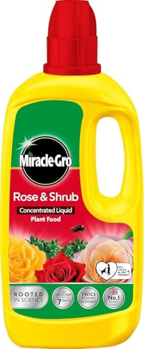 Miracle-Gro Rose & Shrub Concentrated Plant Food 800ml - Liquid Fertilizer for Healthy Growth, Strong Roots, Vibrant Flowers, Lush Foliage for Roses & Shrubs
