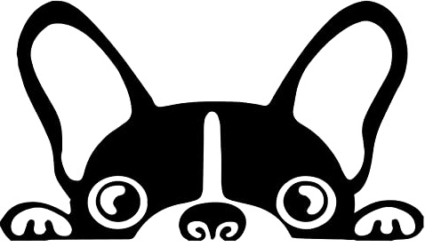 Adhesivo para Coche - Bulldog Francés - Pegatina para Notebook - Perro - Accesorios Auto - Decal cód. 1297 (Negro)