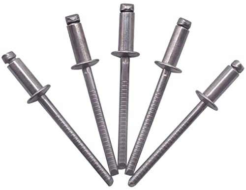 SKIR'CO (150 piezas) Remaches ciegos de acero inoxidable 4,0 x 8 mm, cabeza de cúpula, remaches pop, DIN 7337, remache A2, mandril ranurado