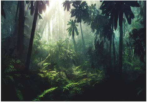 WallArena - Vlies Fototapete Wald Tropischer 3D Effekt Dschungel Pflanzen 416x254 cm - Fototapeten - Tapeten - für Wohnzimmer Schlafzimmer - Vliestapete Wandtapete Tapete 3D Effekt- inkl. Kleister